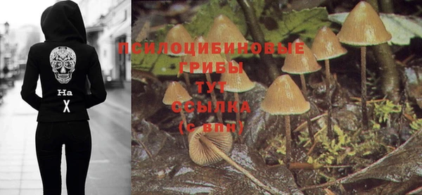 мет Алексеевка