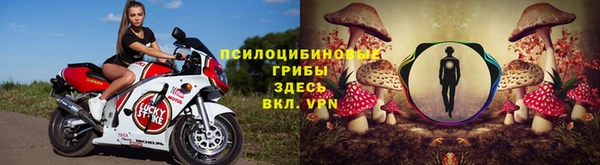 mdpv Алзамай