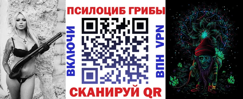 Псилоцибиновые грибы Cubensis  где продают   Шебекино 