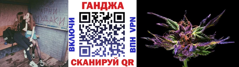 Конопля сатива  Шебекино 